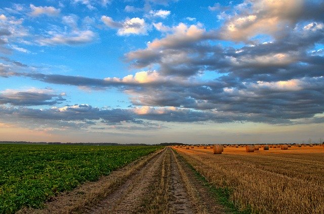 Ринок землі в Україні